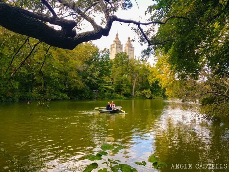 Alquilar un barco de remos en Central Park